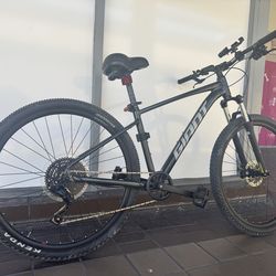 Giant 29er talon single crank
