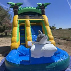 Dolphin Water Slide