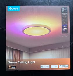 Govee Ceiling Light