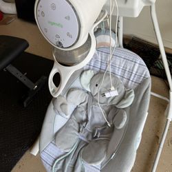 Ingenuity Swing