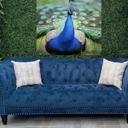 (Free delivery 🚚) Blue Truffle Couch🛋️ 