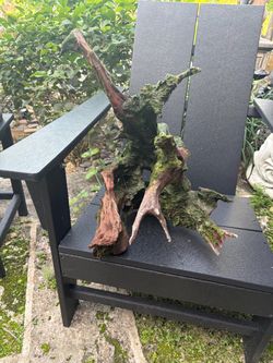 Large Natural Driftwood Aquarium or Pond Decor 19” x 20” x 16”