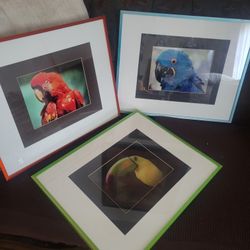 3 Picture Frame Decoration For Wall
