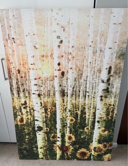 Sunflower / Tree Bark Canvas