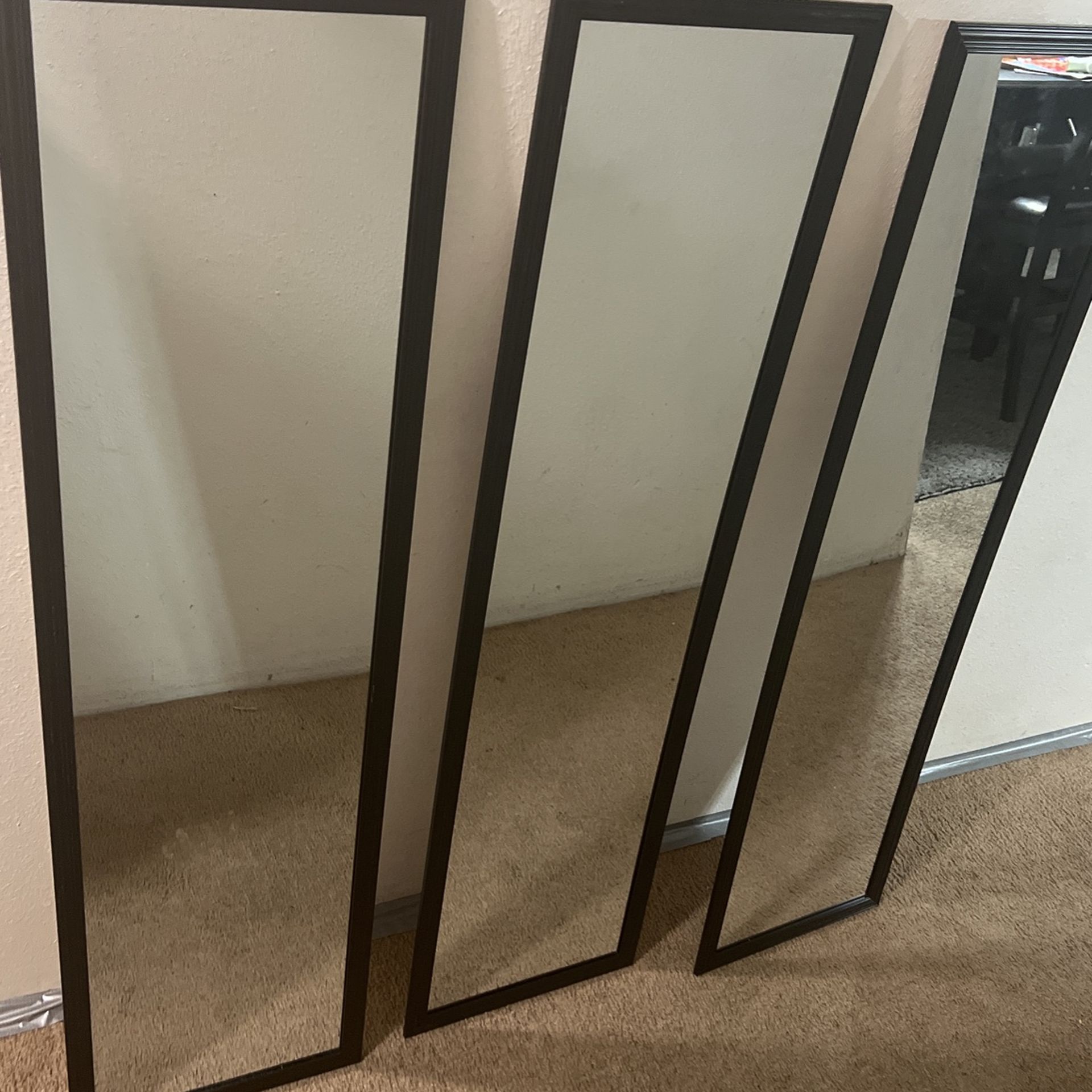 3 Walmart Long Mirrors