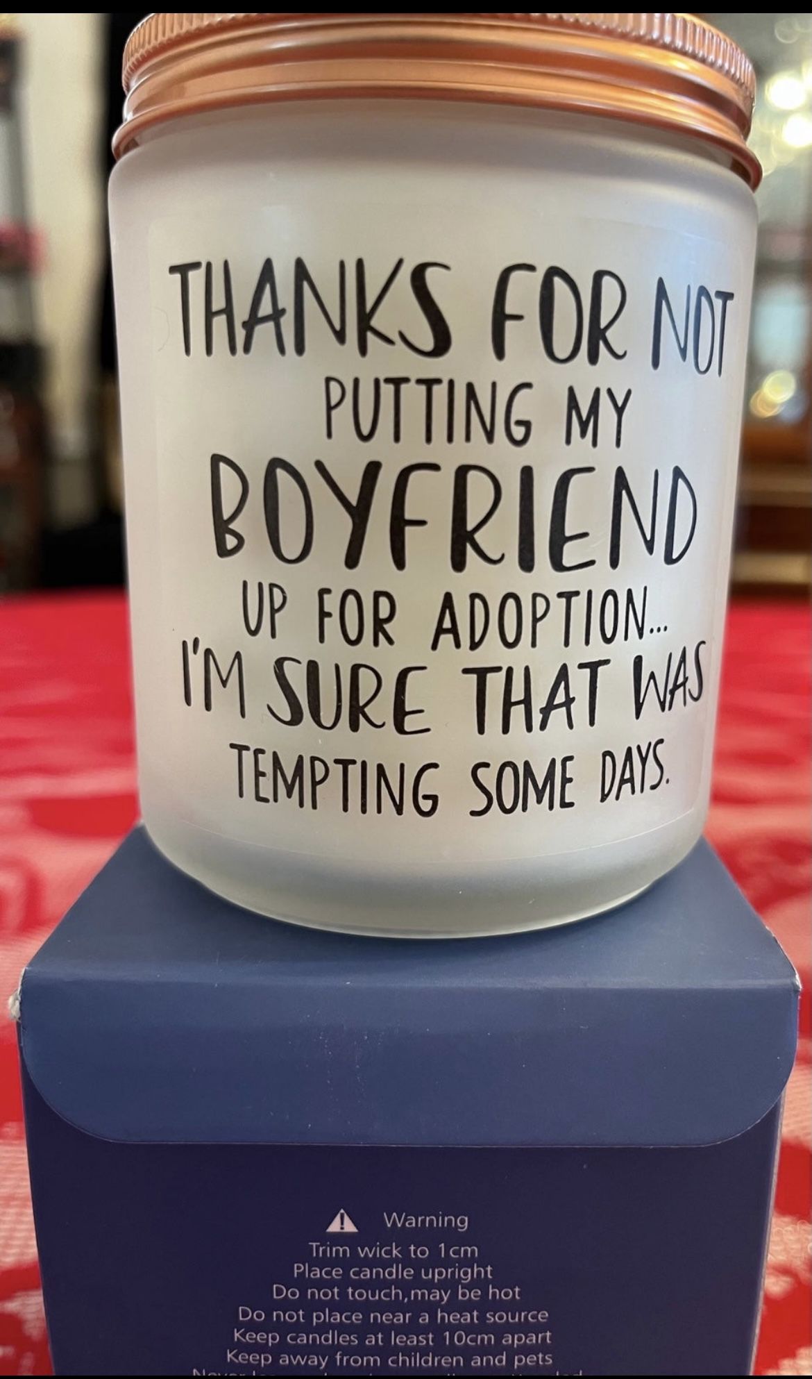 Mother in Law Candle “Thanks for Not Putting My Boyfriend Up for Adoption” Candle