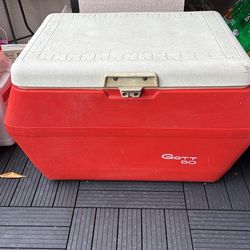 Large Ice Chest