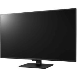 43 inch lg monitor