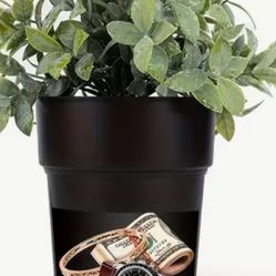 🟢🟢🟢  Planta Para Esconder Llaves 🟢🟢🟢