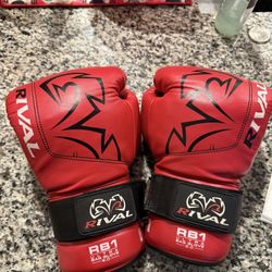 Rival Boxing Gloves 