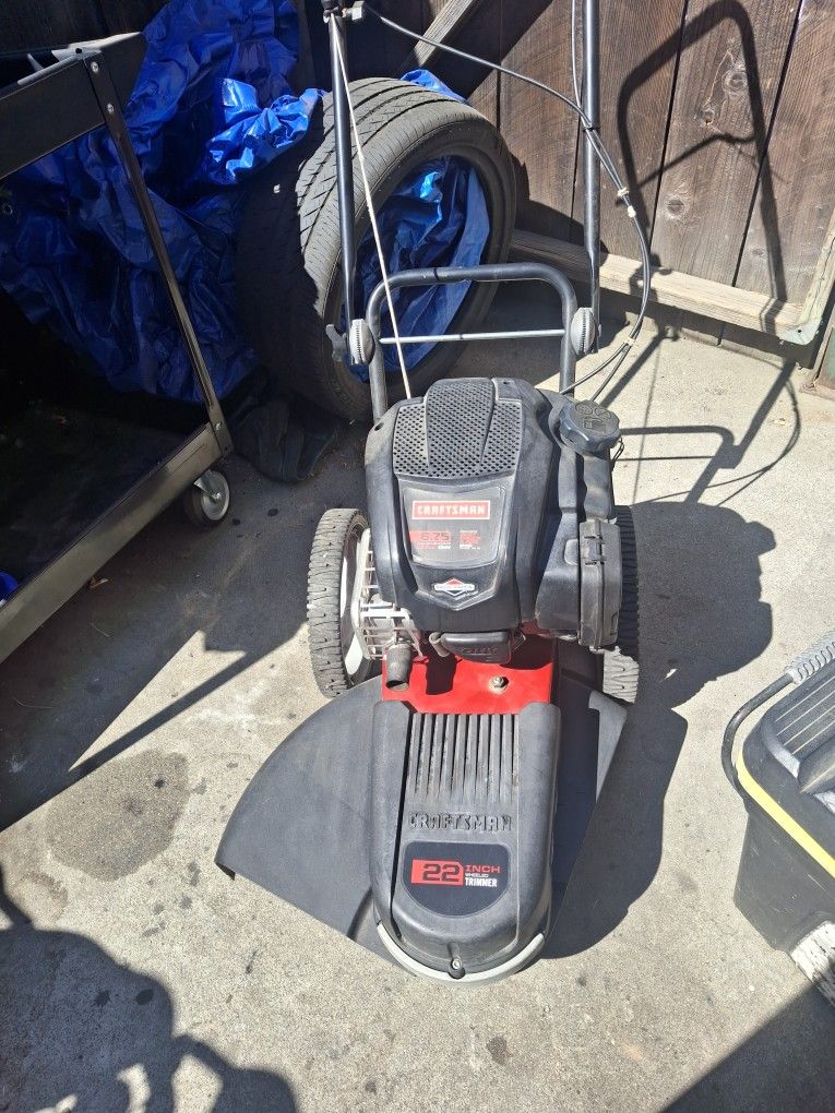 Briggs And Stratton Motor Craftsman Bush Wacker