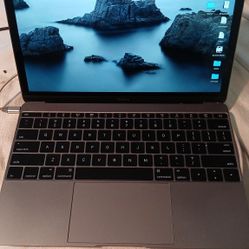 Macbook M1* (UNLOCKED)*  2304X1440 -12 Inch Display