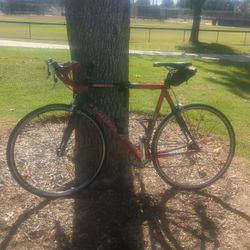 Trek Bike