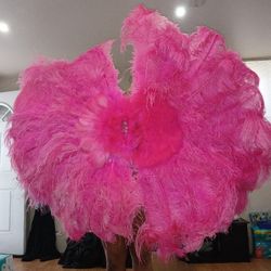 Genuine Ostrich Feather Fans 