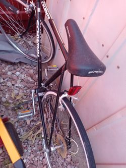 Schwinn Caliente