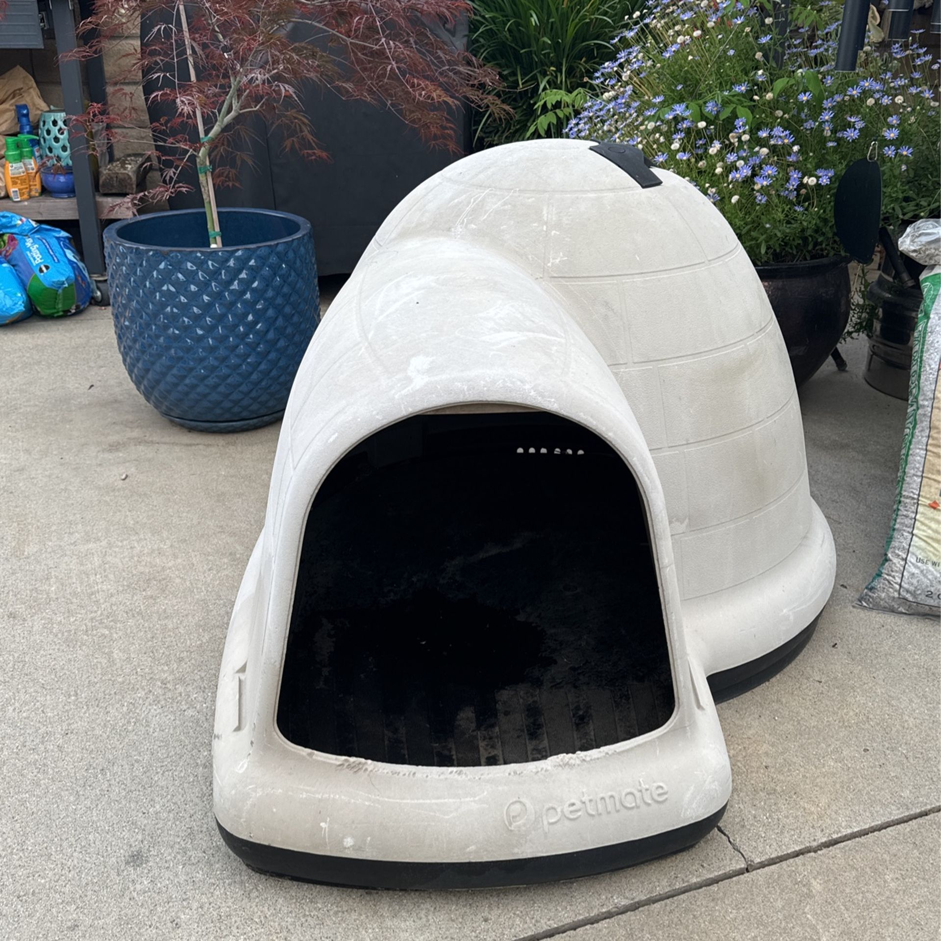 Dog igloo