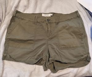 Torrid shorts