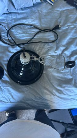 Reptile Lamps