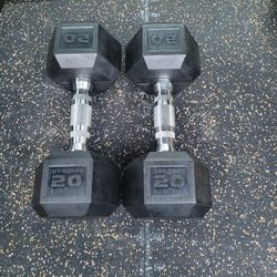 20lbs Dumbells Weights