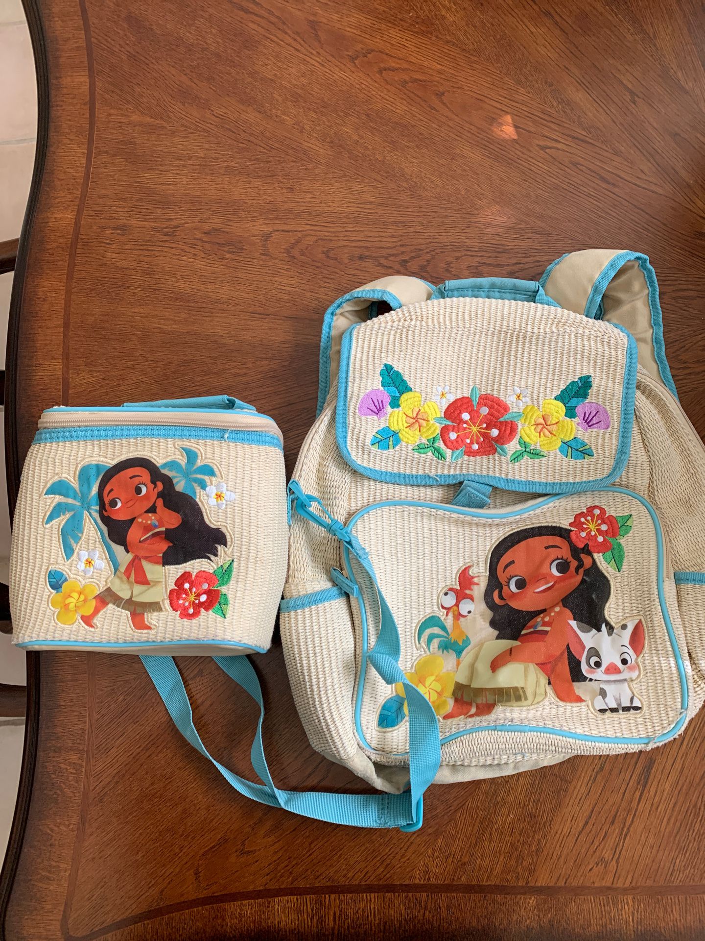Disney’s Moana Backpack & Lunchbox