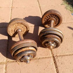 Adjustable Dumbbells 