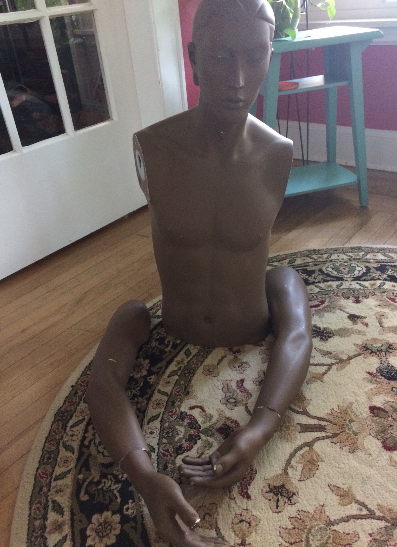 Anatomically “correct” male mannequin. Torso, arms and hands can be detached separately so easy to carry and set up.