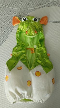 Flying Dragon 18m costume