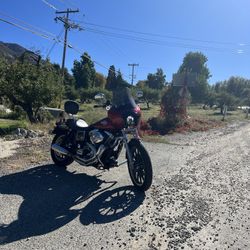 2005 Harley Davidson FXDLI