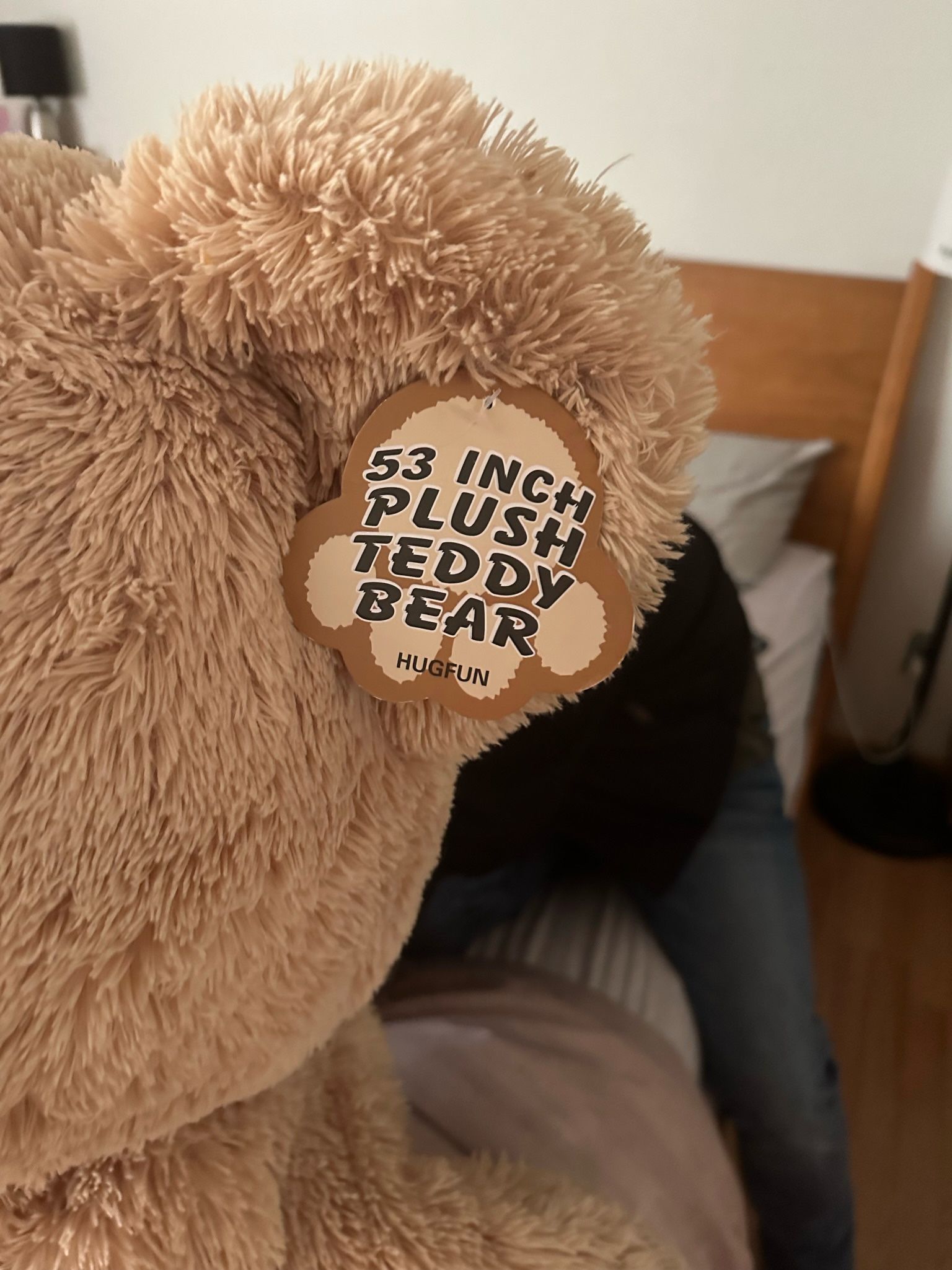 a stuffed teddy bear