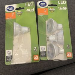 LED Shatter Resistan Bulbs