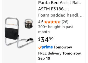 Panta Bed Assist Rail with Storage Pouch