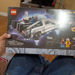 Brand New Back To The Future Lego Set
