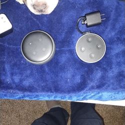 Alexa Speakers