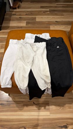 Baseball pants and baseball knickers