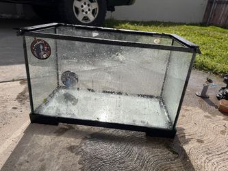 Fish Tank