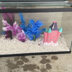 Fish Tank 