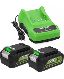 2Pack 6500mAh 29(contact info removed)2 Replacement for Greenworks 24V Battery and Charger for Greenworks 24V Cordless Tools Trimmer Weed Blower