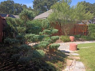Apple landscaping