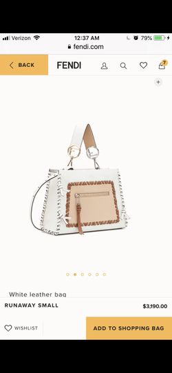 FENDI RUNAWAY BAG