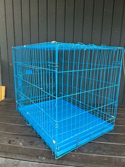 Case for dog