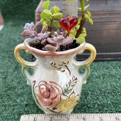 ❤️ Mixed Succulents In Decorative Vase