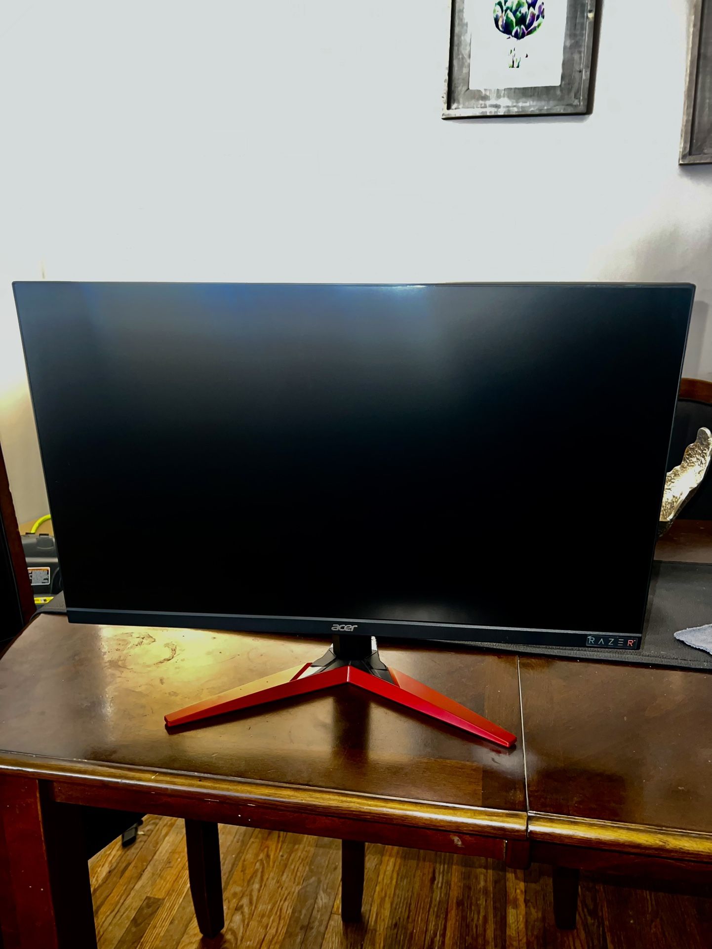 Acer Gaming Monitor