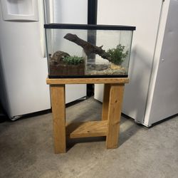 Frog Terrarium 