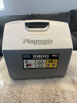 Igloo playmate cooler