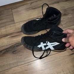 Wrestling Shoes
