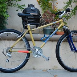 Rocky Mountain Soul Retro Bike