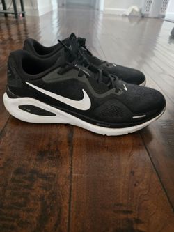 Nike Zoom Structure 26, size 11