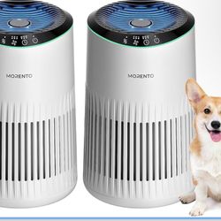Air Purifiers 