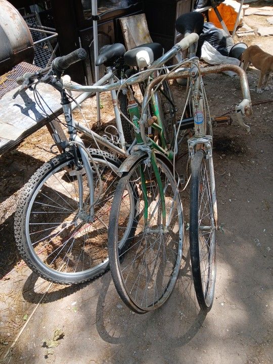 Antique Bikes