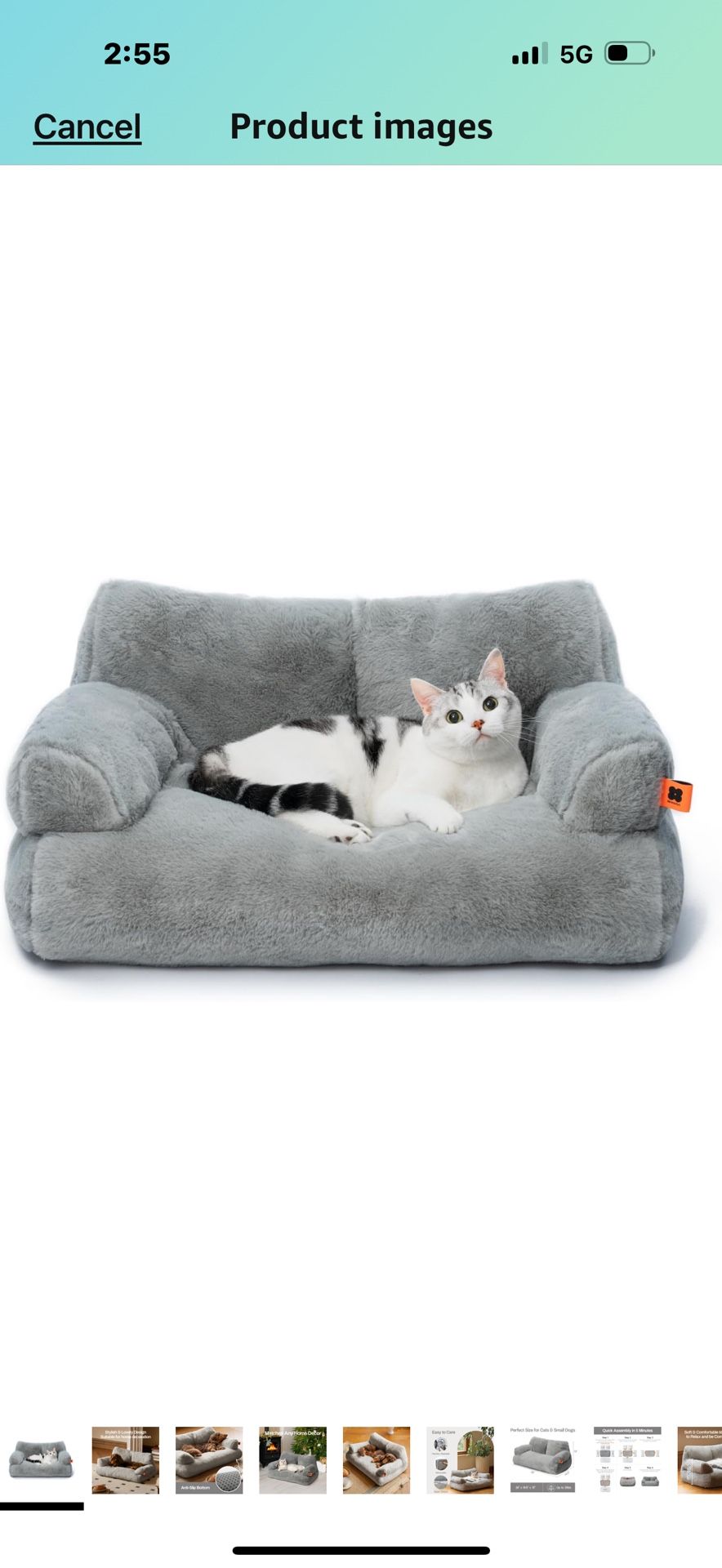 Brand new cat bed